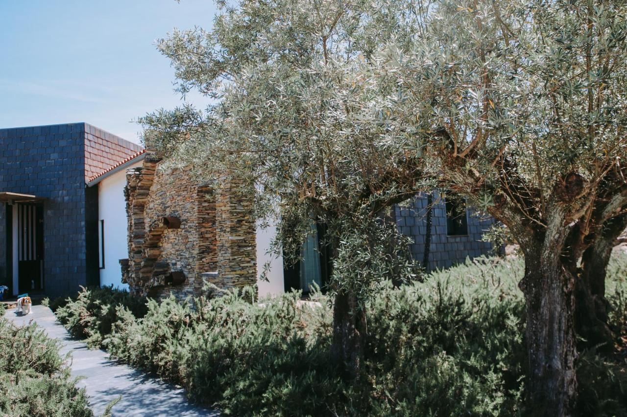 Casas Da Fontanheira Guest House Marvão Екстериор снимка